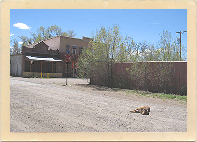 A dog sleeps in the middle of the road in the sleepy village of Cerrillos, New Mexico, one of the locations for the filming of the popular movie, "Young Guns."